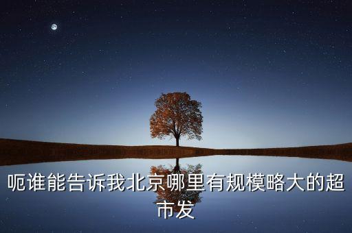 北京超市發(fā)有什么部門，呃誰能告訴我北京哪里有規(guī)模略大的超市發(fā)