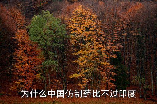 為什么中國(guó)仿制藥比不過(guò)印度