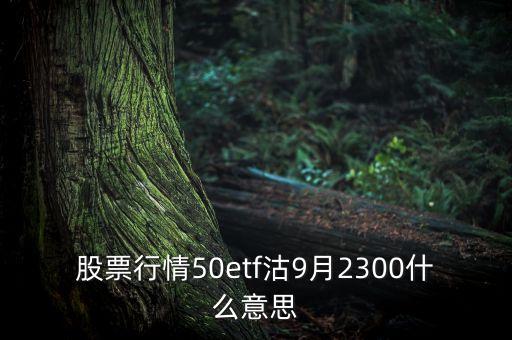50etf沽6月2600是什么意思，50etf購(gòu)9月2800是什么意思