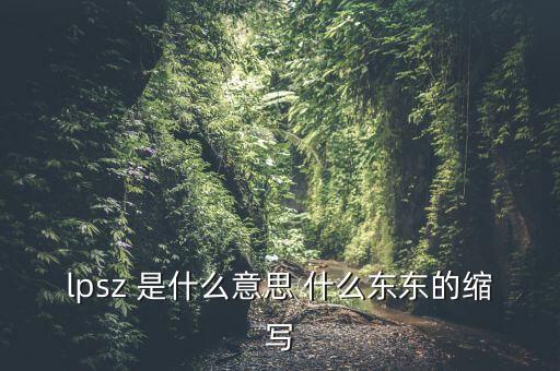 lpsk什么意思，lpsz 是什么意思 什么東東的縮寫