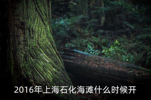 2016年上海石化海灘什么時(shí)候開(kāi)
