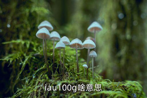 iau100g是什么意思，AR100g 什么意思