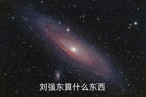 劉強(qiáng)東算什么東西
