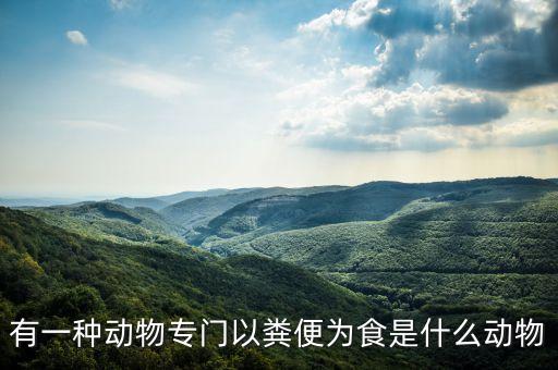 有一種動(dòng)物專門以糞便為食是什么動(dòng)物