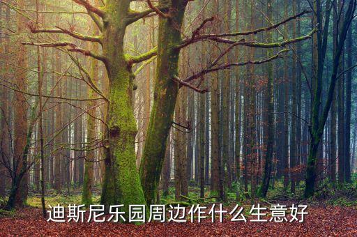 迪士尼周邊有什么商機，迪斯尼樂園周邊作什么生意好