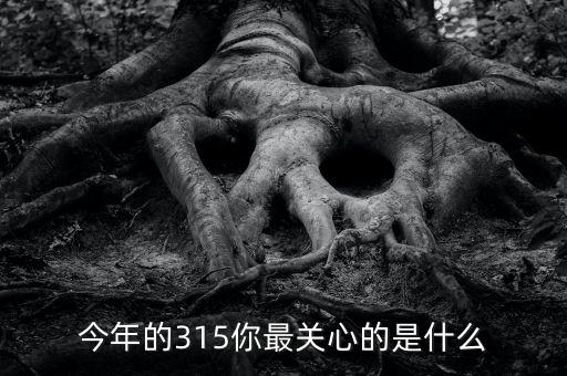 今年的315你最關心的是什么