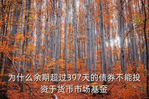 為什么余期超過397天的債券不能投資于貨幣市場基金