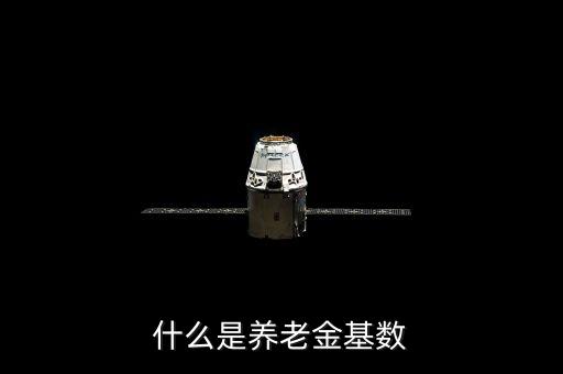 養(yǎng)老保險基數是什么，養(yǎng)老保險交費基數是什么