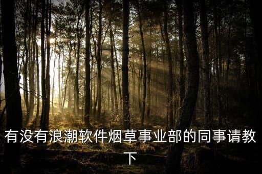 浪潮軟件有什么部門，浪潮軟件里輔助項(xiàng)目在哪里 急求