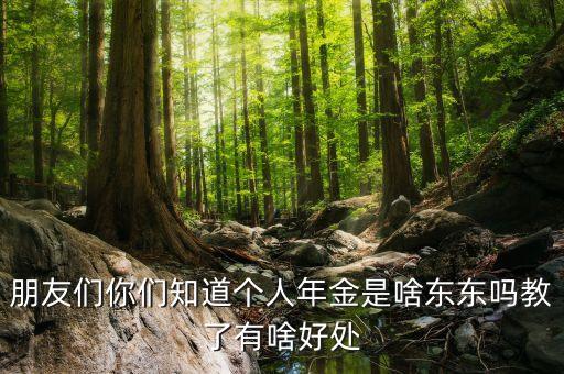 朋友們你們知道個人年金是啥東東嗎教了有啥好處