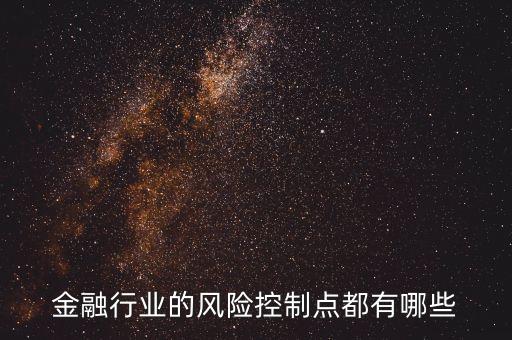 金融行業(yè)的風(fēng)險控制點都有哪些