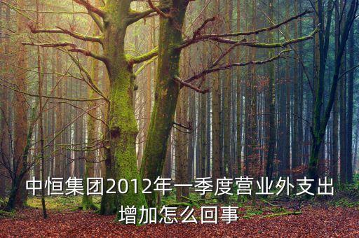 中恒集團(tuán)2012年一季度營(yíng)業(yè)外支出增加怎么回事