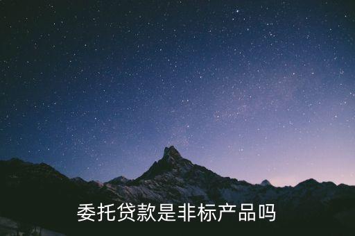委托貸款是非標(biāo)產(chǎn)品嗎