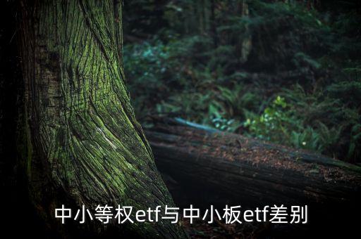 中小等權是什么基金，中小等權etf與中小板etf差別