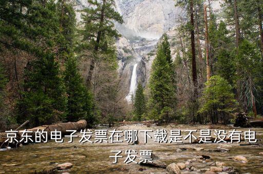 京東的電子發(fā)票在哪下載是不是沒有電子發(fā)票