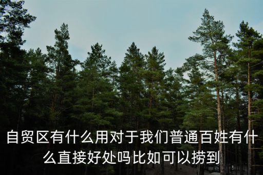 自貿(mào)區(qū)適合做什么，自貿(mào)區(qū)做什么生意好