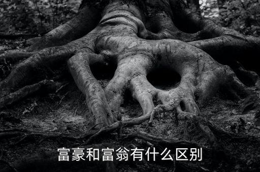富豪和富翁有什么區(qū)別
