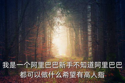 我是一個阿里巴巴新手不知道阿里巴巴都可以做什么希望有高人指