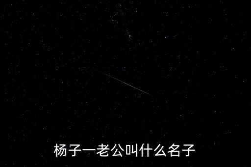 什么叫qe4，楊子一老公叫什么名子