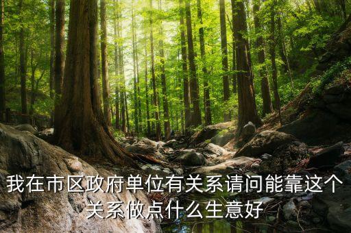 政府靠什么賺錢(qián)，我在市區(qū)政府單位有關(guān)系請(qǐng)問(wèn)能靠這個(gè)關(guān)系做點(diǎn)什么生意好