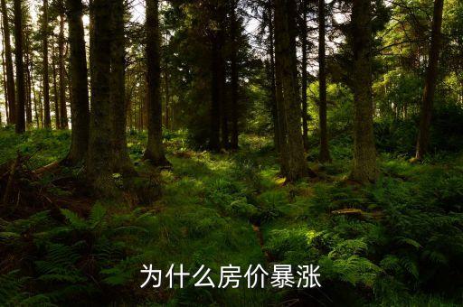為什么房價暴漲