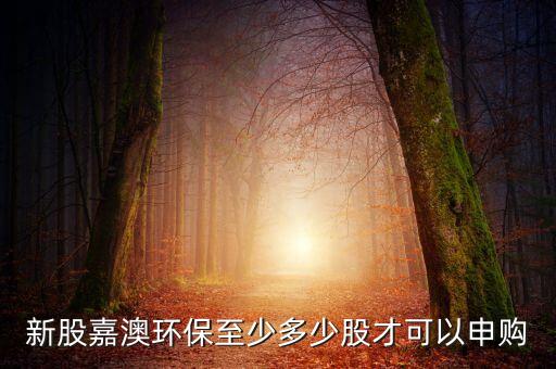 新股嘉澳環(huán)保至少多少股才可以申購(gòu)