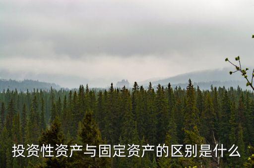 新增資產(chǎn)是指什么，什么叫認(rèn)購公司新增資本
