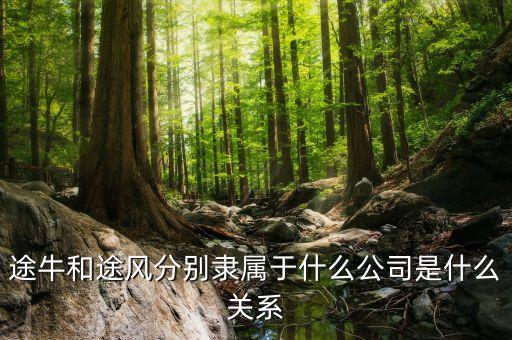 途牛和笛風(fēng)假期有什么關(guān)系，途牛和途風(fēng)分別隸屬于什么公司是什么關(guān)系