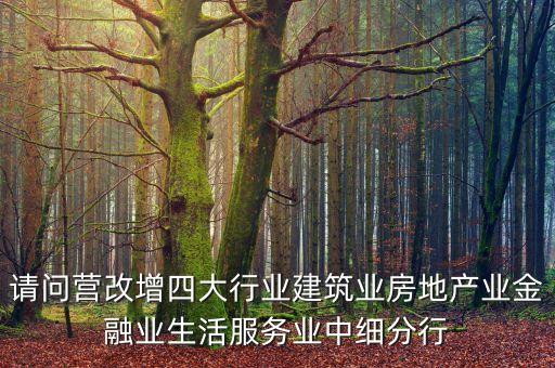 請問營改增四大行業(yè)建筑業(yè)房地產(chǎn)業(yè)金融業(yè)生活服務業(yè)中細分行