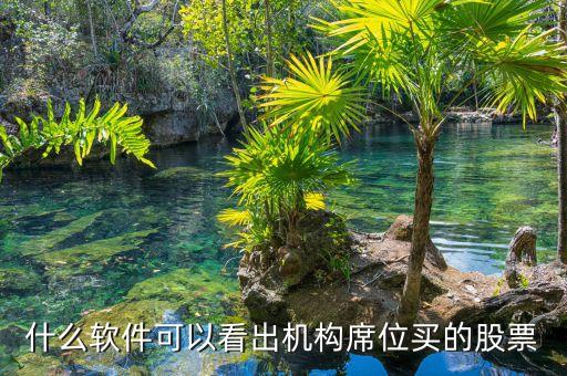 什么軟件可以看到股票是由什么機(jī)構(gòu)買進(jìn)，用什么軟件可以看到買入股票的 機(jī)構(gòu)名稱