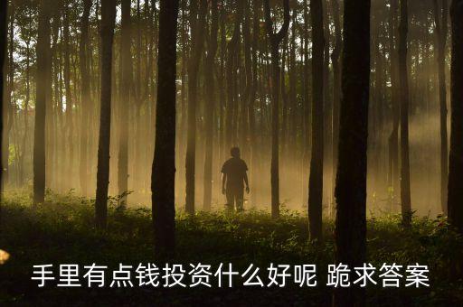 有點錢投資什么，有點小錢可以去投資什么呢