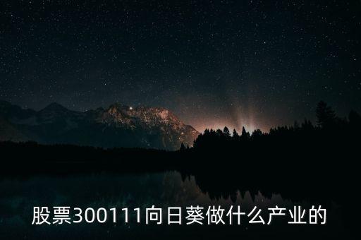 股票300111向日葵做什么產(chǎn)業(yè)的