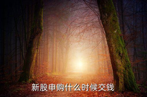 新股申購什么時候交款，新股中簽后什么時間繳款