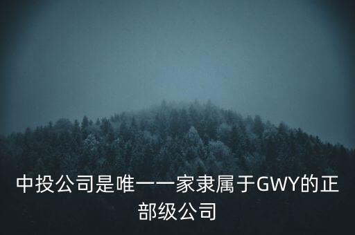 中投公司是唯一一家隸屬于GWY的正部級公司