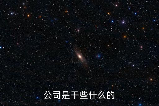 做什么的公司，公司是干些什么的