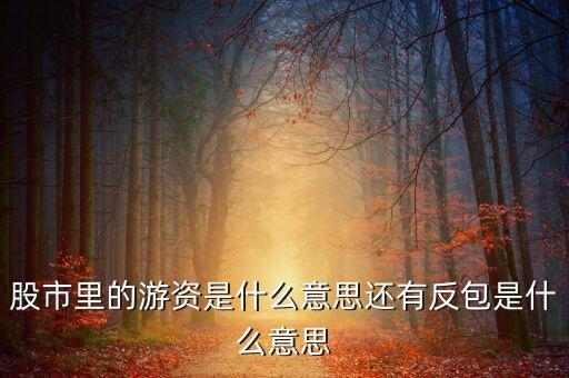 股市里的游資是什么意思還有反包是什么意思