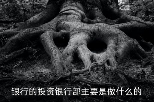 投行部是干什么的，請(qǐng)問達(dá)人證券公司的投行部主要是干什么業(yè)務(wù)的如果應(yīng)聘的話需要哪