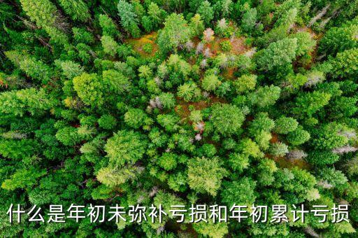 未彌補(bǔ)虧損是什么意思，尚未彌補(bǔ)的虧損金額