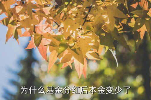 為什么基金分紅后本金變少了