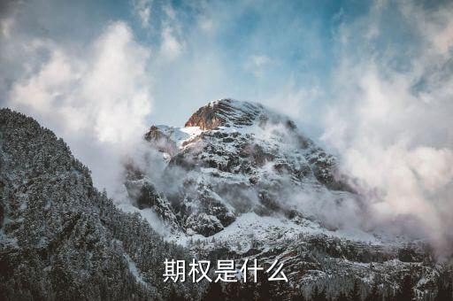授予期權是什么意思，無償授予股票期權是什么意思