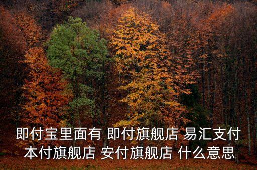 易匯支付是什么東西，具體介紹下易寶快易匯快錢支付寶