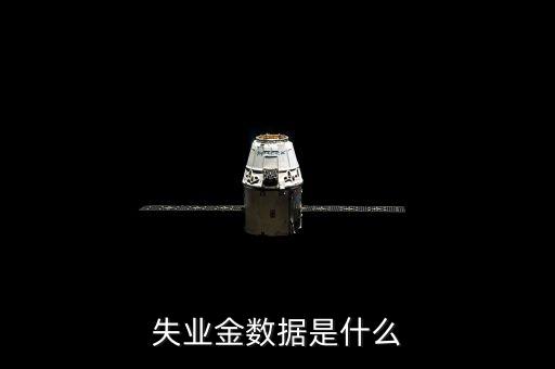 失業(yè)金數(shù)據(jù)是什么