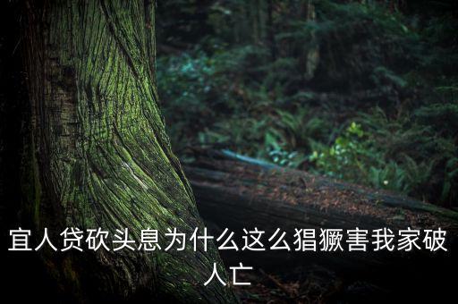 宜人貸為什么售罄，我的宜人貸為什么沒通過問題出在哪