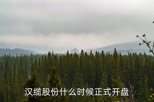 漢纜股份什么時(shí)候發(fā)股息，漢纜股份什么時(shí)候正式開(kāi)盤