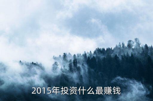 2015年投資什么最賺錢(qián)