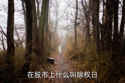 什么叫除權(quán)日是什么，在股市上什么叫除權(quán)日