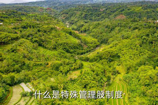 什么是特殊管理股制度