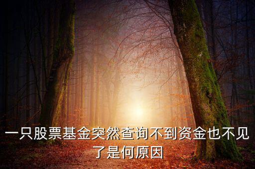 一只股票基金突然查詢不到資金也不見了是何原因