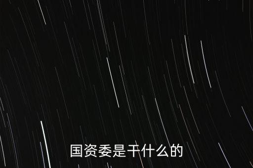 國資委是干什么的