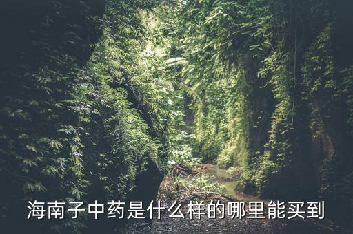 海南子是什么中藥，海南子中藥是什么樣的哪里能買到